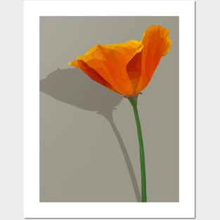 Low Poly Orange Poppy Posters and Art